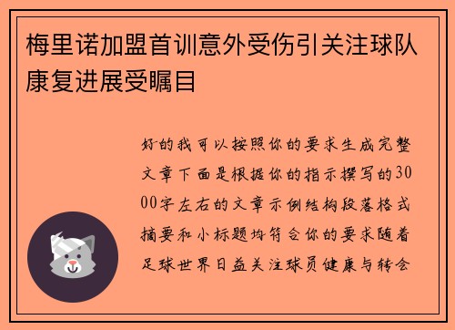 梅里诺加盟首训意外受伤引关注球队康复进展受瞩目